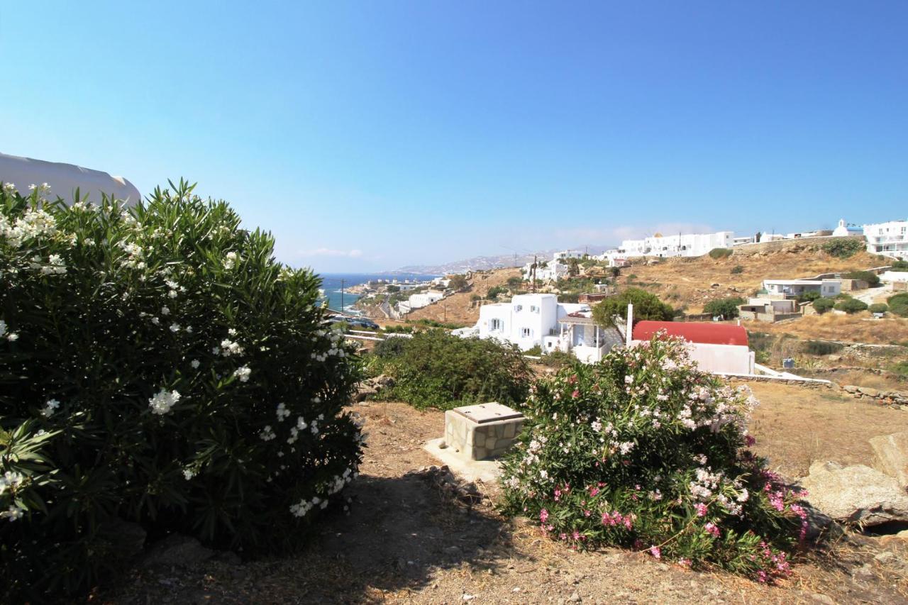 Crystal View Mykonos Aparthotel Mykonos Town Exterior photo